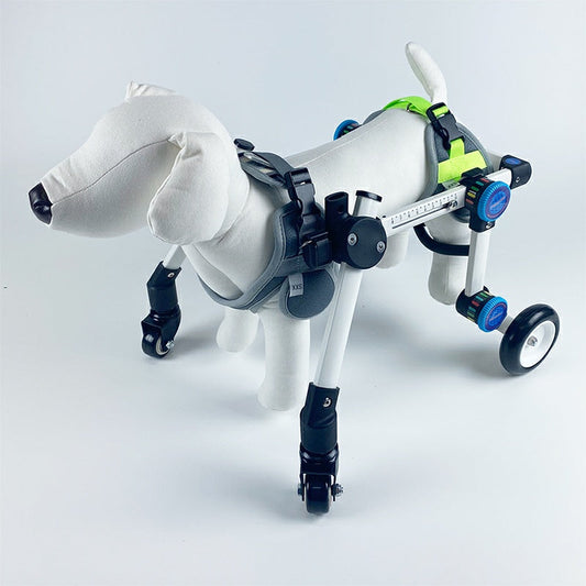 Small dog wheelchair